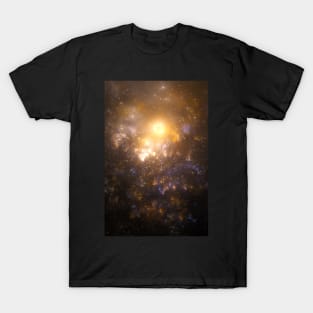 To the light T-Shirt